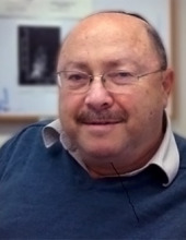 אמנון הופמן