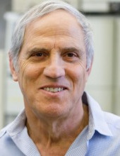 אברהם דומב